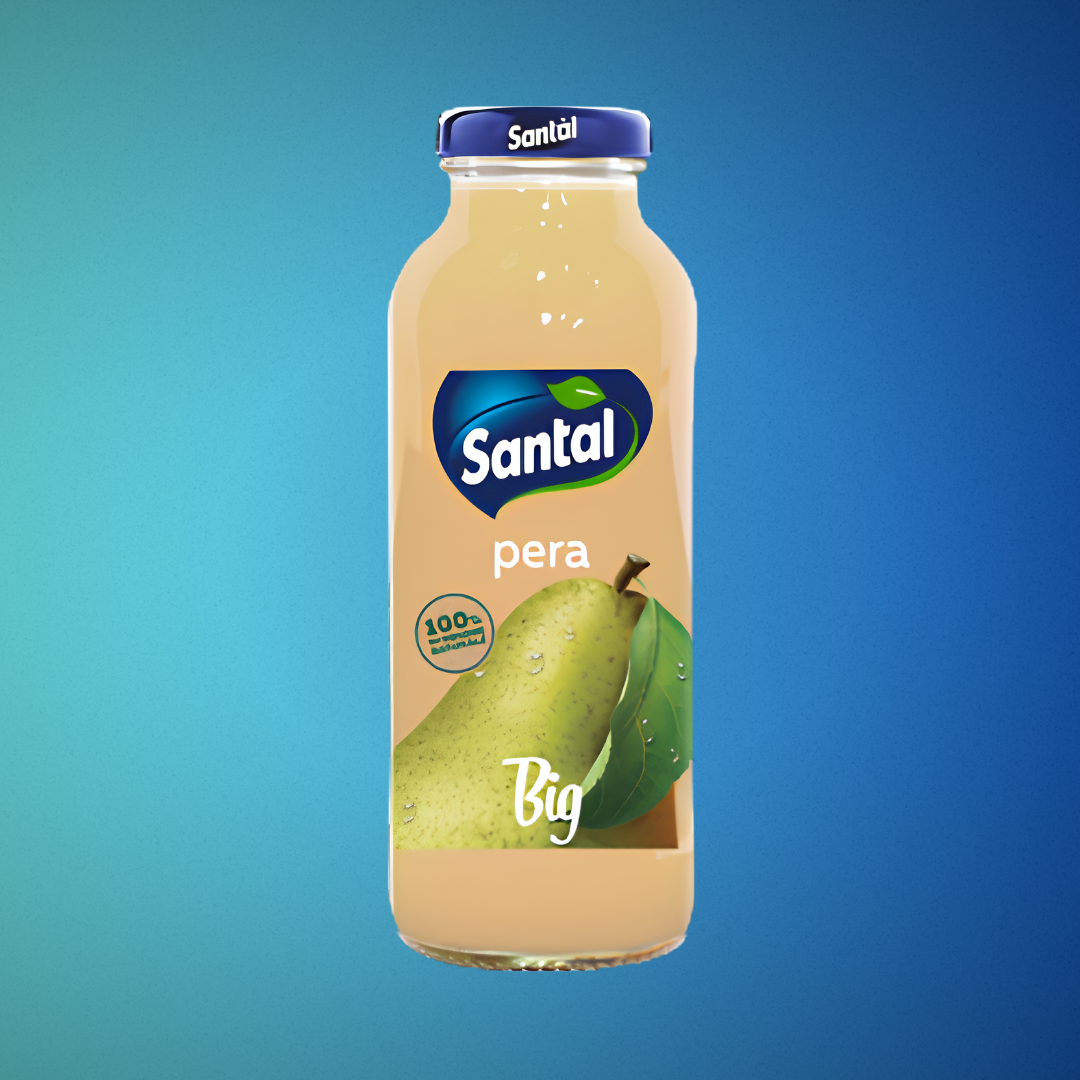 Santal BIG alla frutta 250ml. - 24pz.