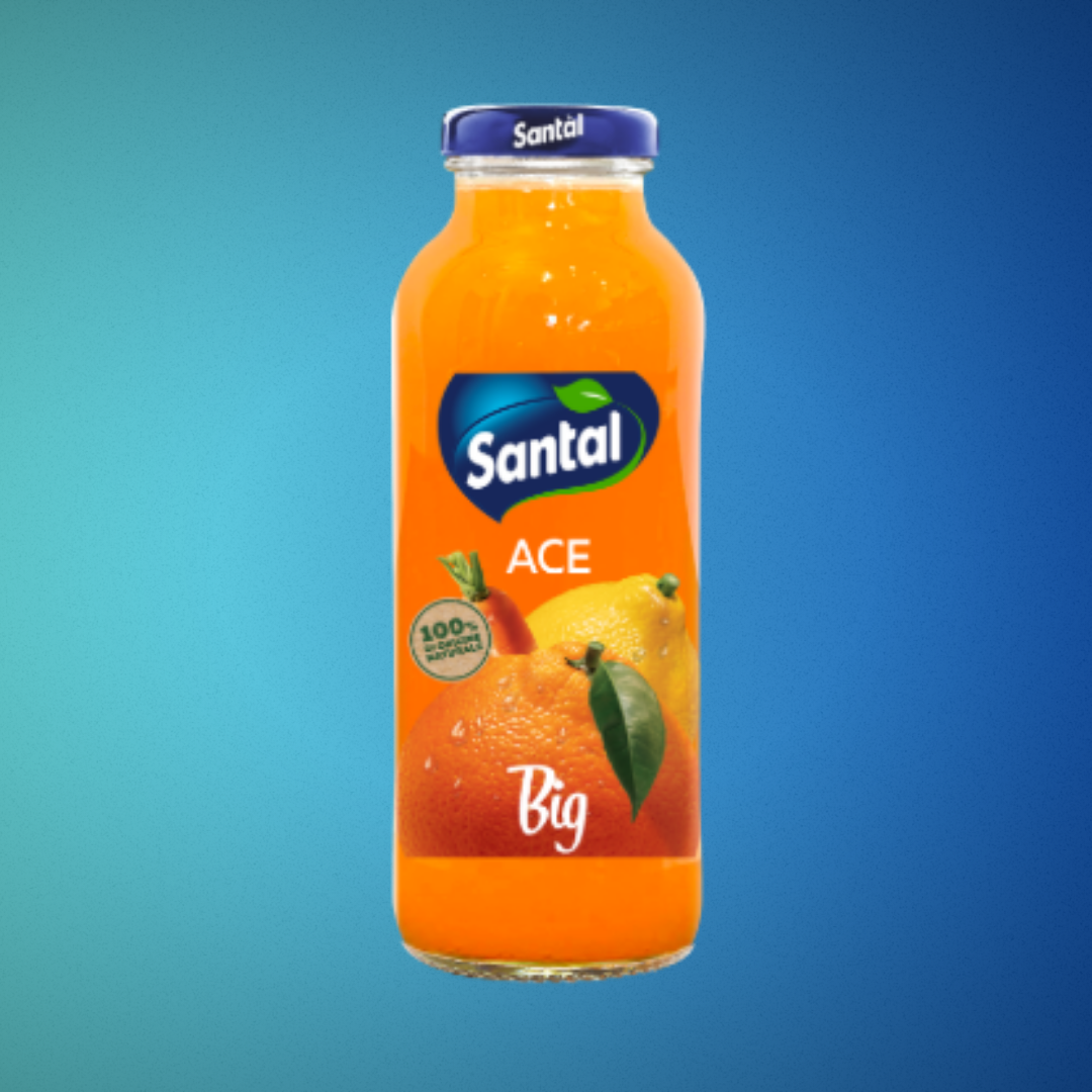 Santal BIG alla frutta 250ml. - 24pz.