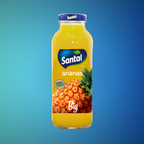 Santal BIG alla frutta 250ml. - 24pz.