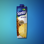 Santal Succhi di Frutta - Classici 1000ml x 12pz.